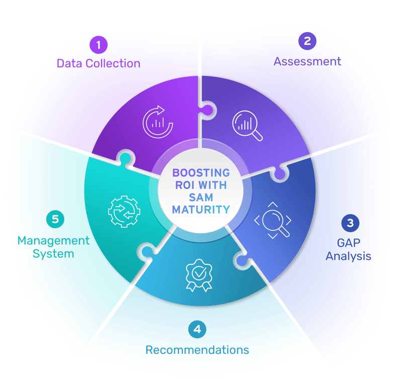 ISAM SAM Maturity Service Infographic 1