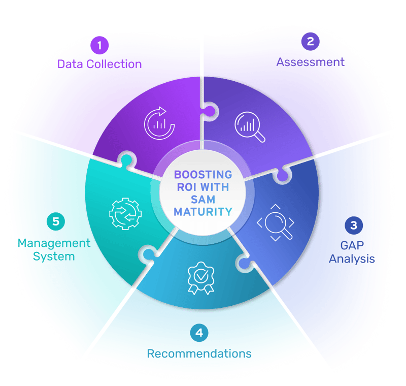 ISAM SAM Maturity Service Infographic 1 ISAM SAM Maturity Service Infographic 1